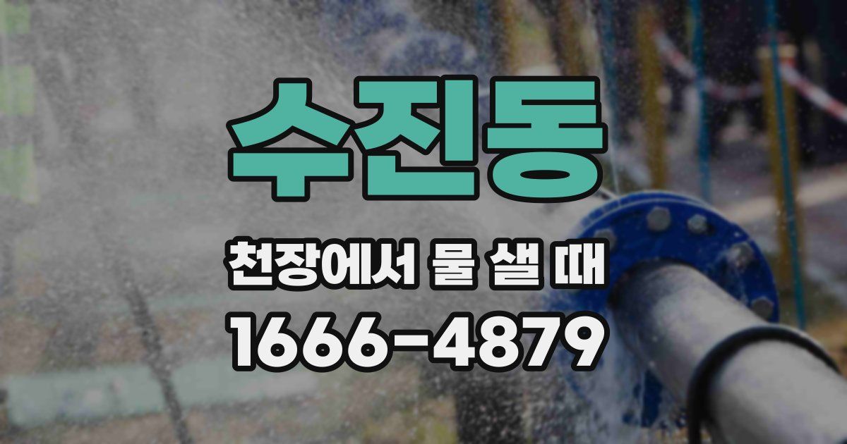 수진동 천장에서 물 샐 때