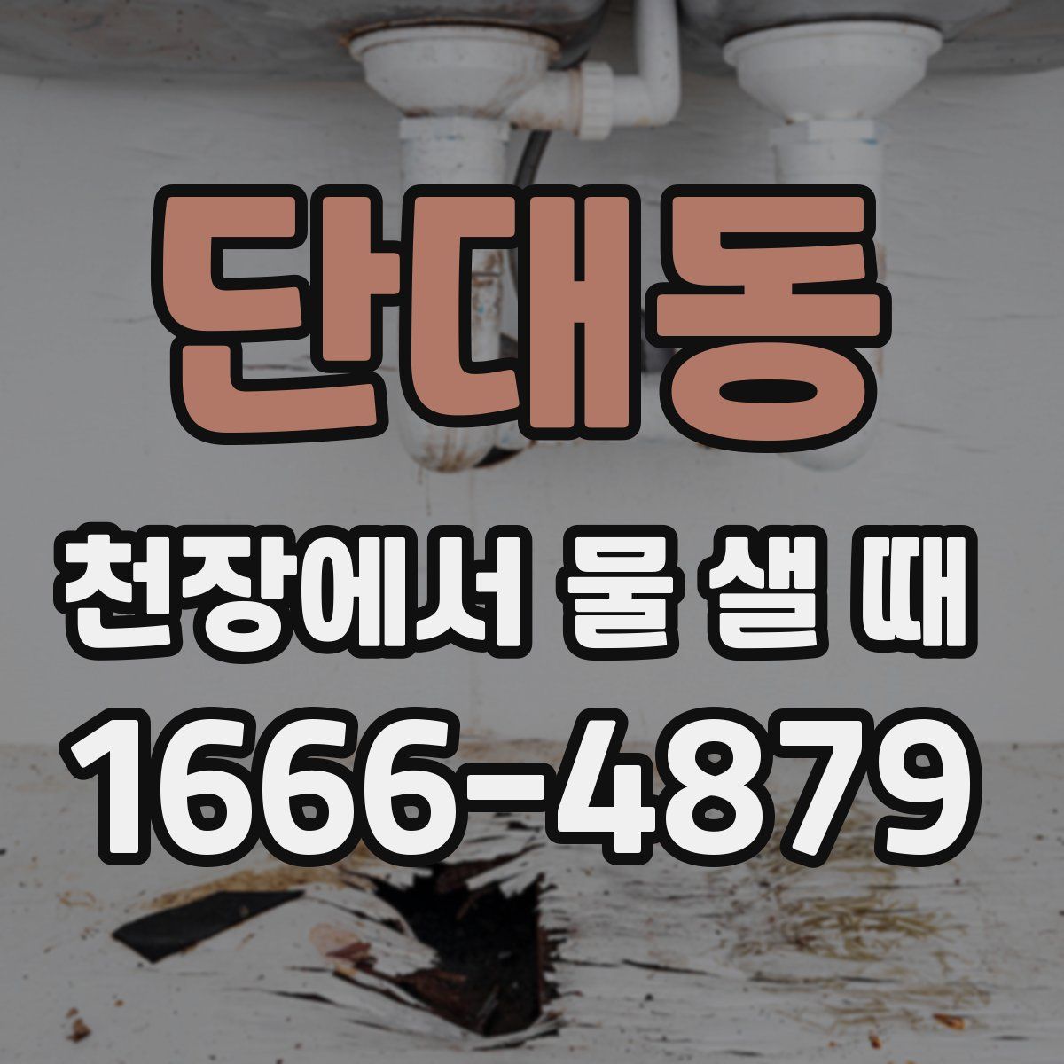 단대동 천장에서 물 샐 때