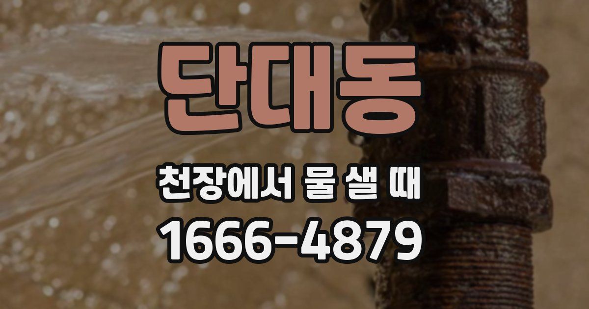 단대동 천장에서 물 샐 때