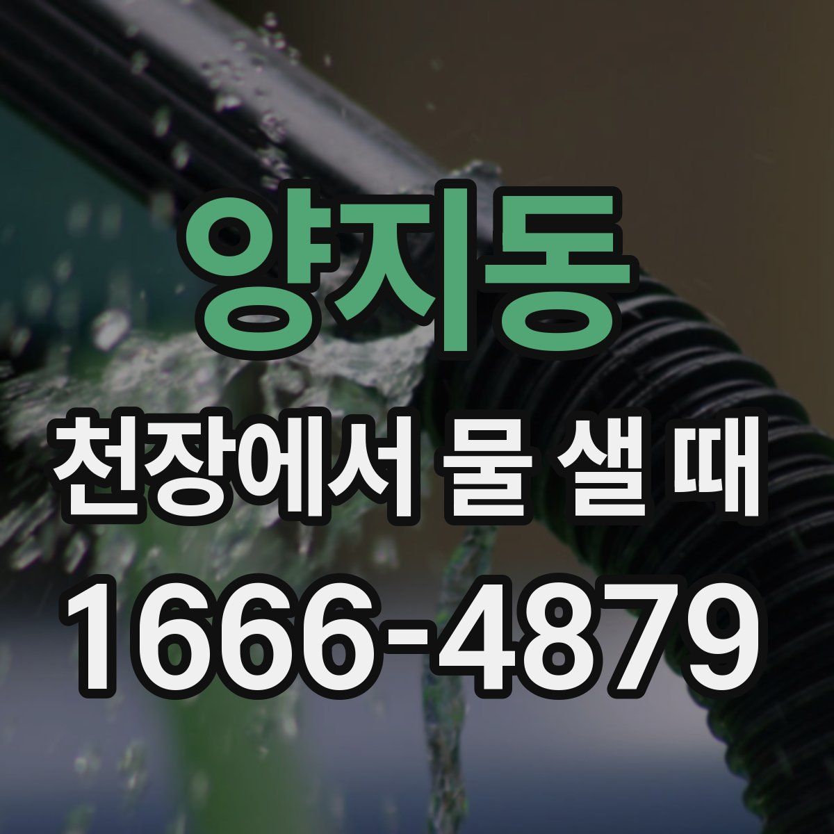 양지동 천장에서 물 샐 때