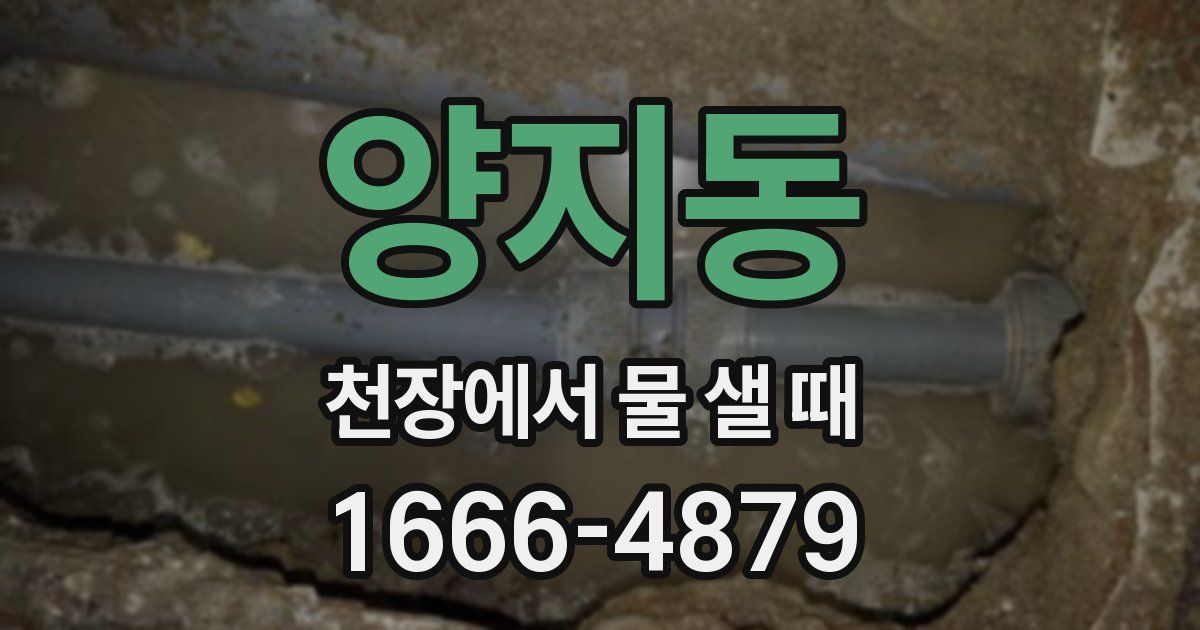 양지동 천장에서 물 샐 때