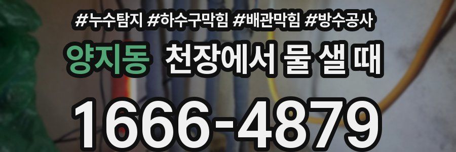 양지동 천장에서 물 샐 때