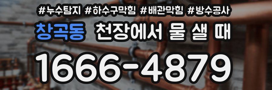창곡동 천장에서 물 샐 때