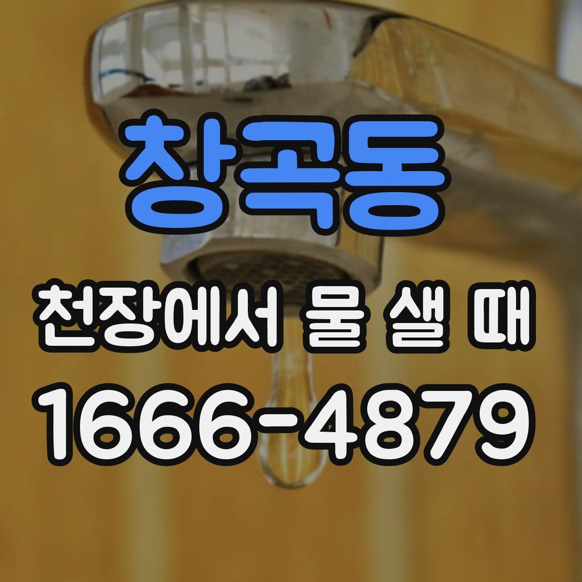 창곡동 천장에서 물 샐 때
