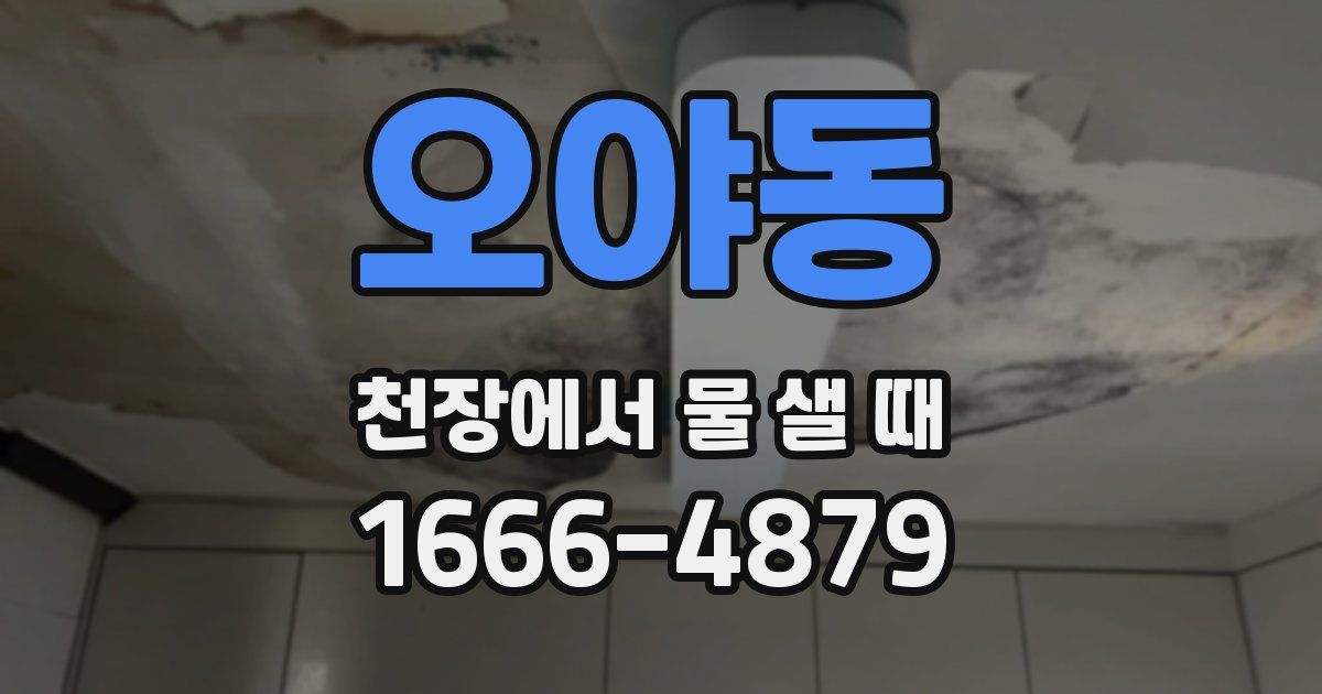 오야동 천장에서 물 샐 때
