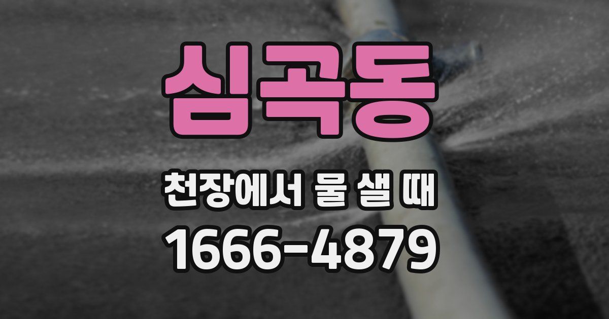심곡동 천장에서 물 샐 때