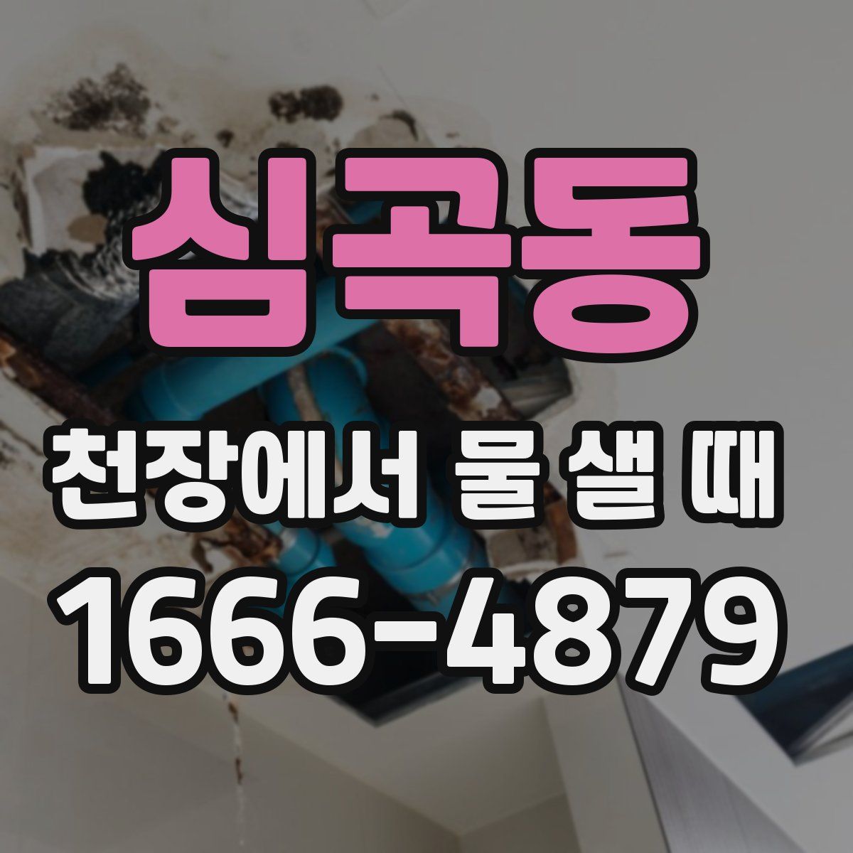 심곡동 천장에서 물 샐 때