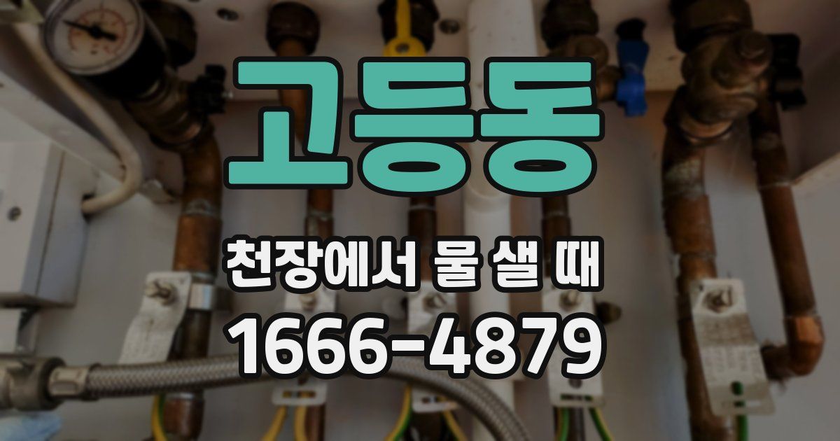 고등동 천장에서 물 샐 때