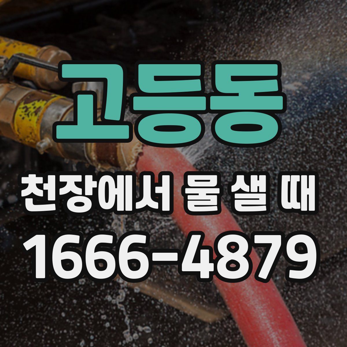 고등동 천장에서 물 샐 때