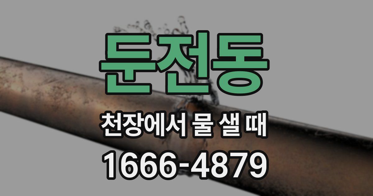 둔전동 천장에서 물 샐 때