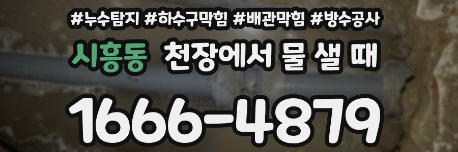 시흥동 천장에서 물 샐 때