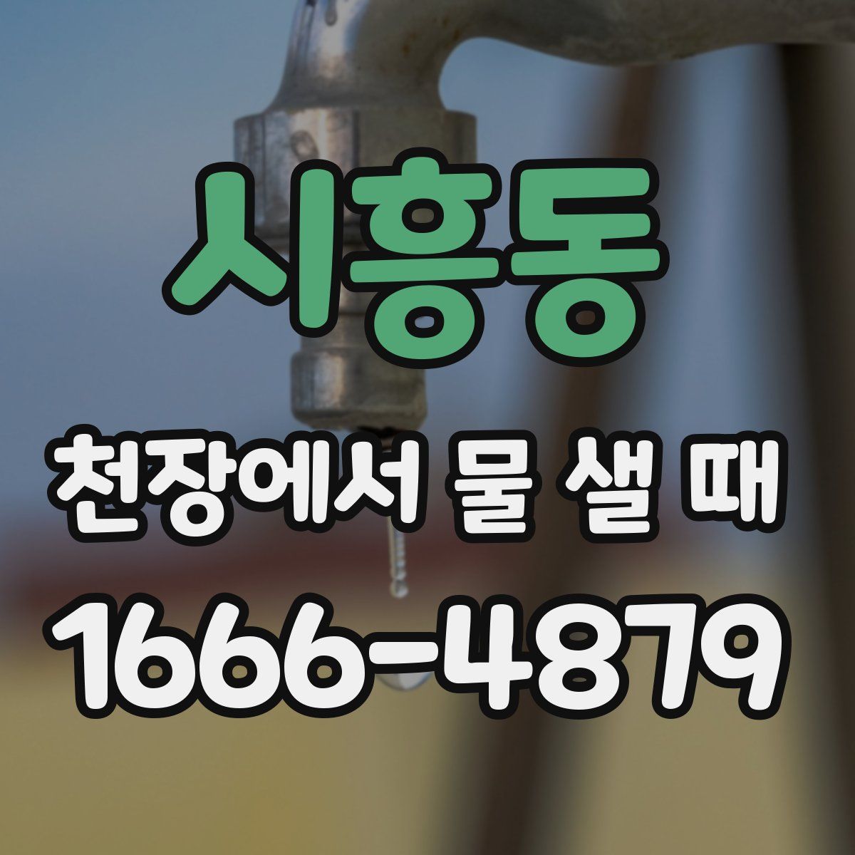 시흥동 천장에서 물 샐 때