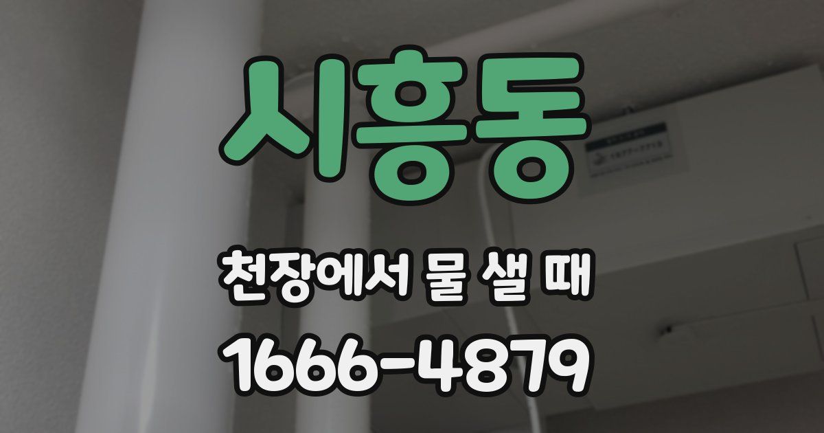 시흥동 천장에서 물 샐 때