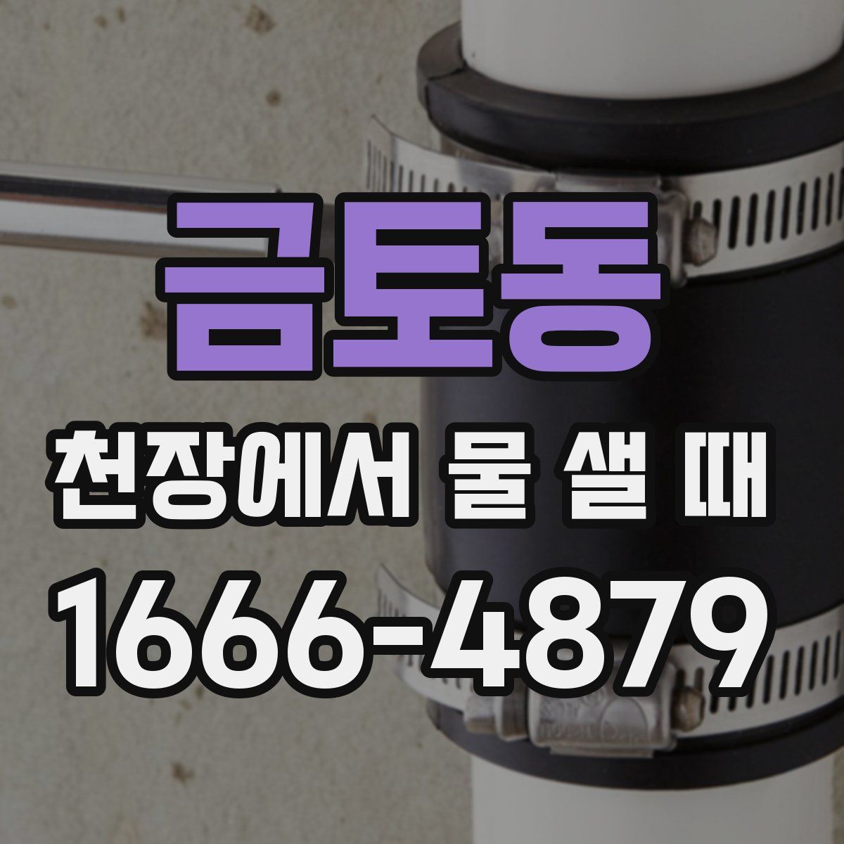 금토동 천장에서 물 샐 때