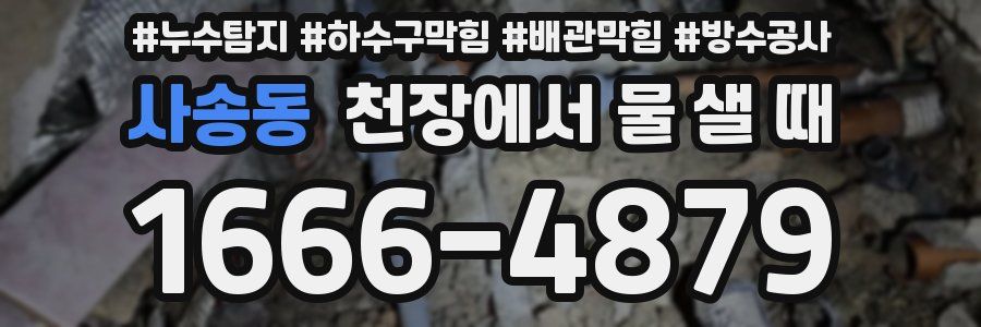 사송동 천장에서 물 샐 때