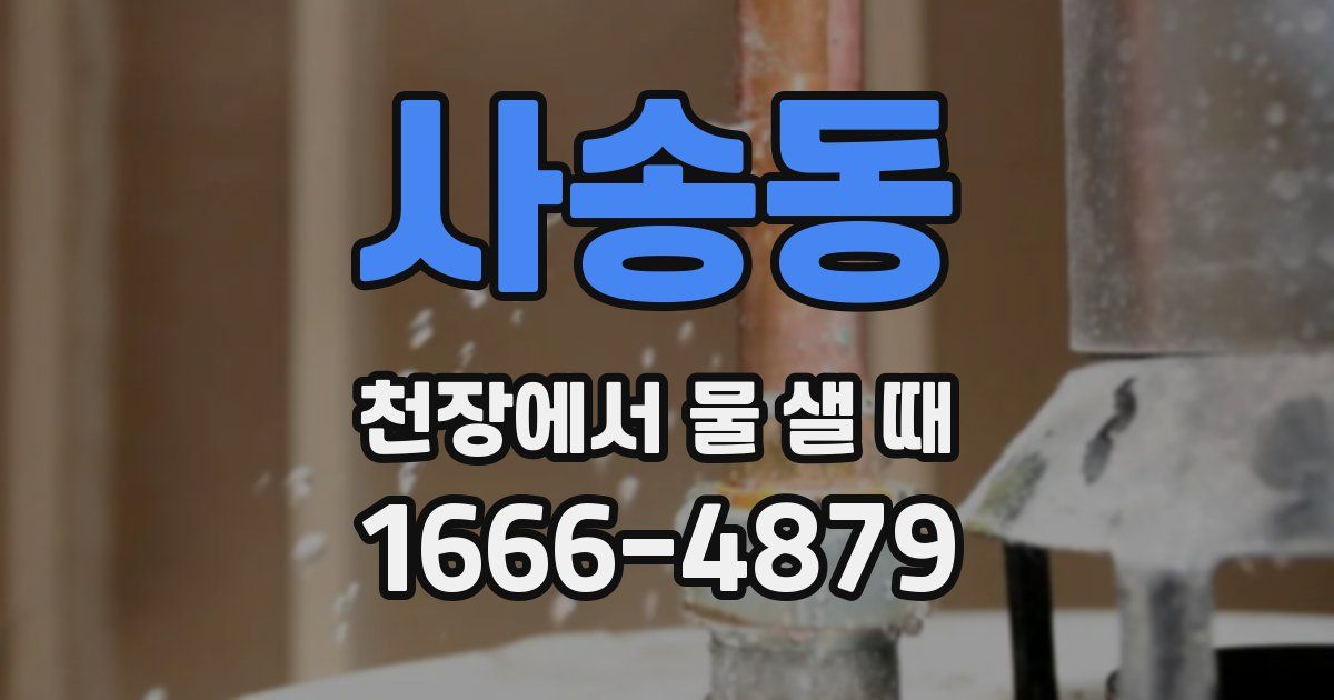 사송동 천장에서 물 샐 때