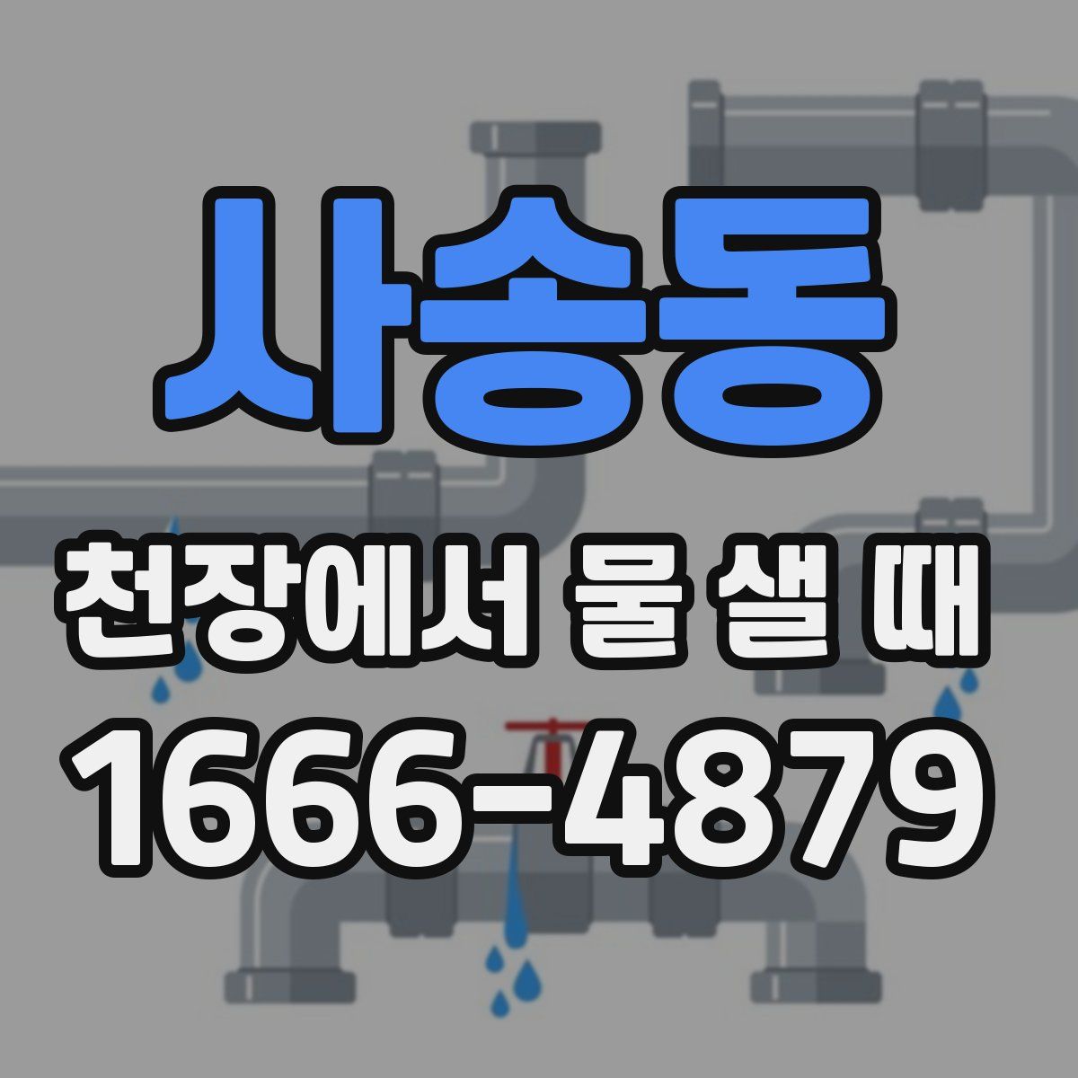 사송동 천장에서 물 샐 때