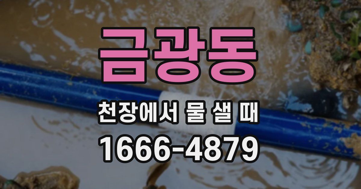 금광동 천장에서 물 샐 때