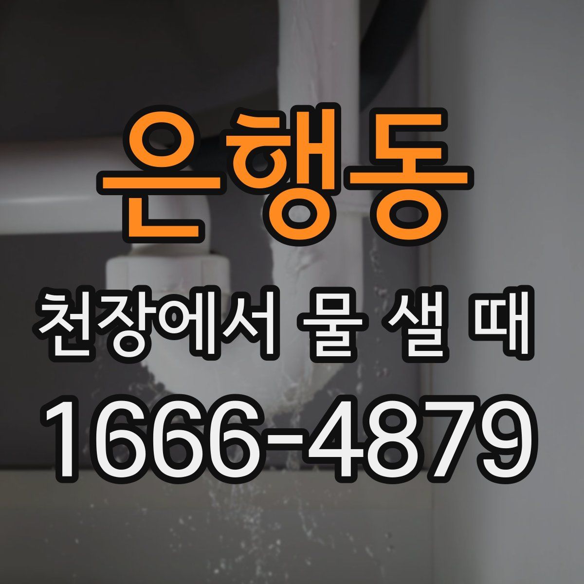 은행동 천장에서 물 샐 때