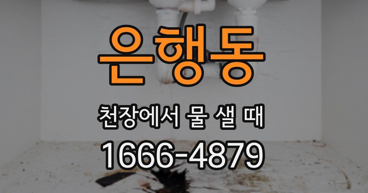 은행동 천장에서 물 샐 때