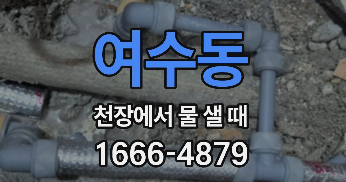여수동 천장에서 물 샐 때