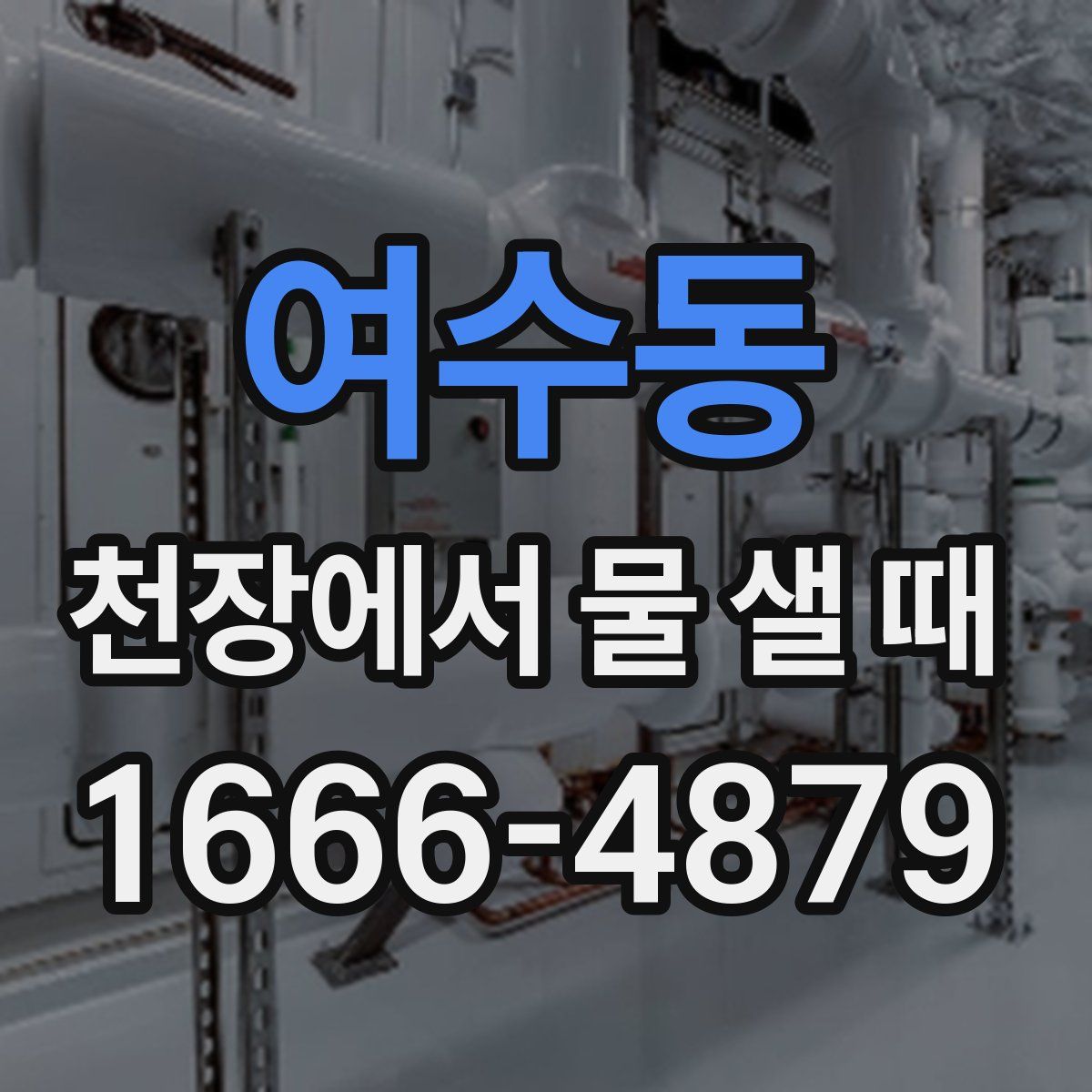 여수동 천장에서 물 샐 때