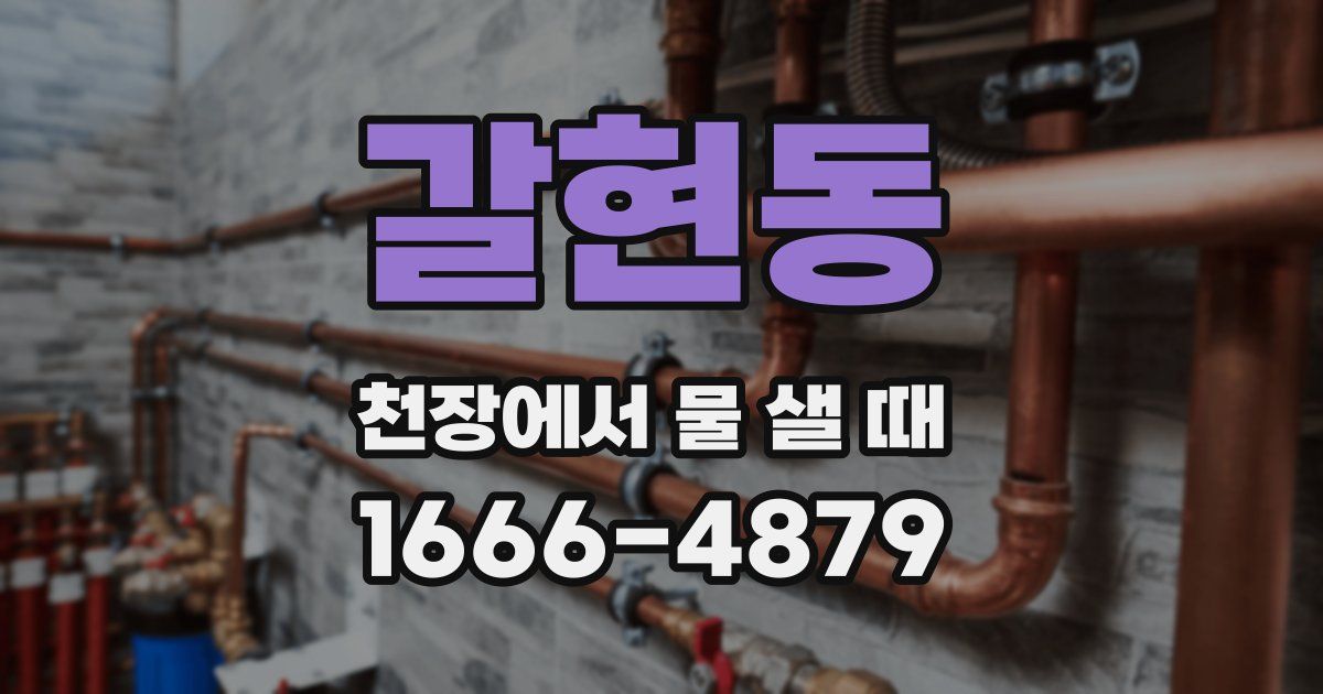 갈현동 천장에서 물 샐 때