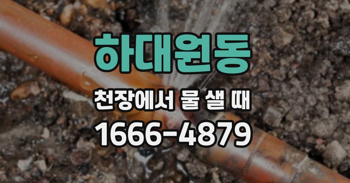 하대원동 천장에서 물 샐 때