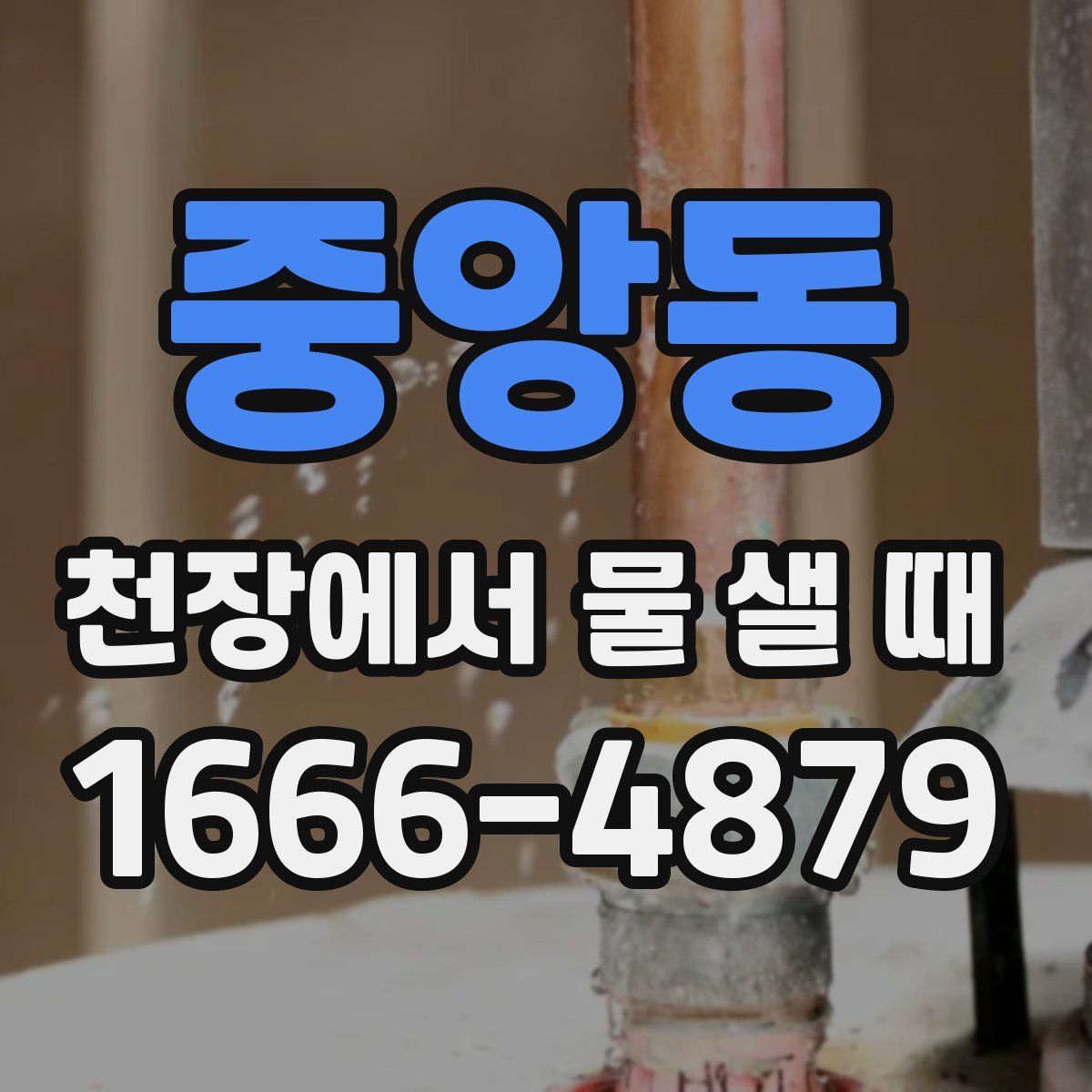 중앙동 천장에서 물 샐 때