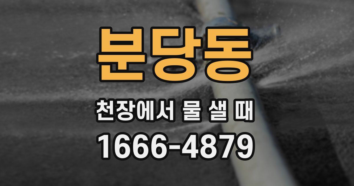분당동 천장에서 물 샐 때
