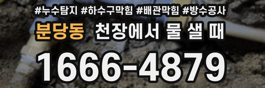 분당동 천장에서 물 샐 때
