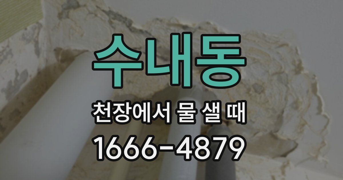 수내동 천장에서 물 샐 때