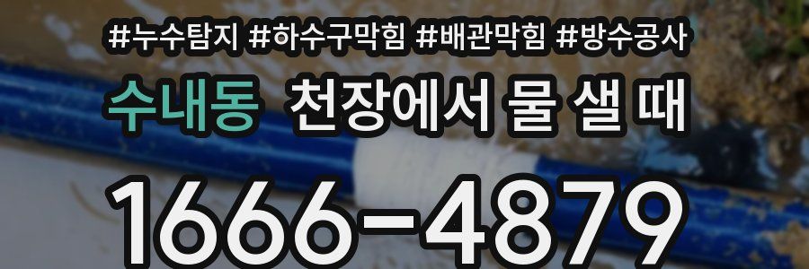 수내동 천장에서 물 샐 때