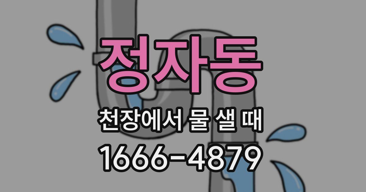 정자동 천장에서 물 샐 때