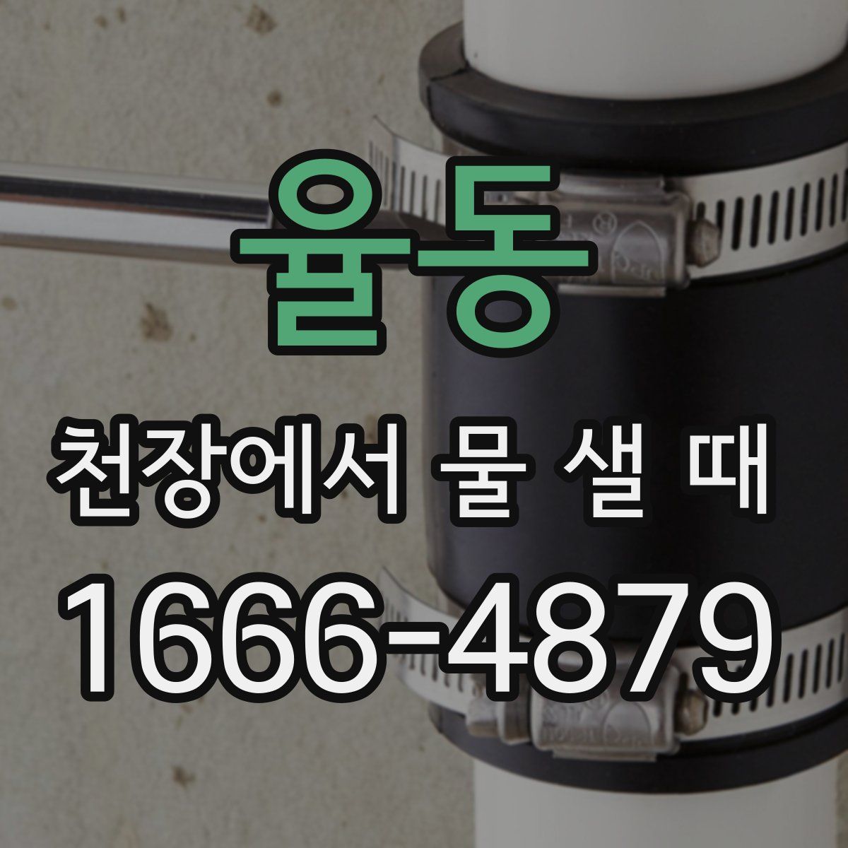 율동 천장에서 물 샐 때