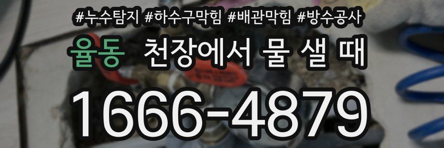 율동 천장에서 물 샐 때