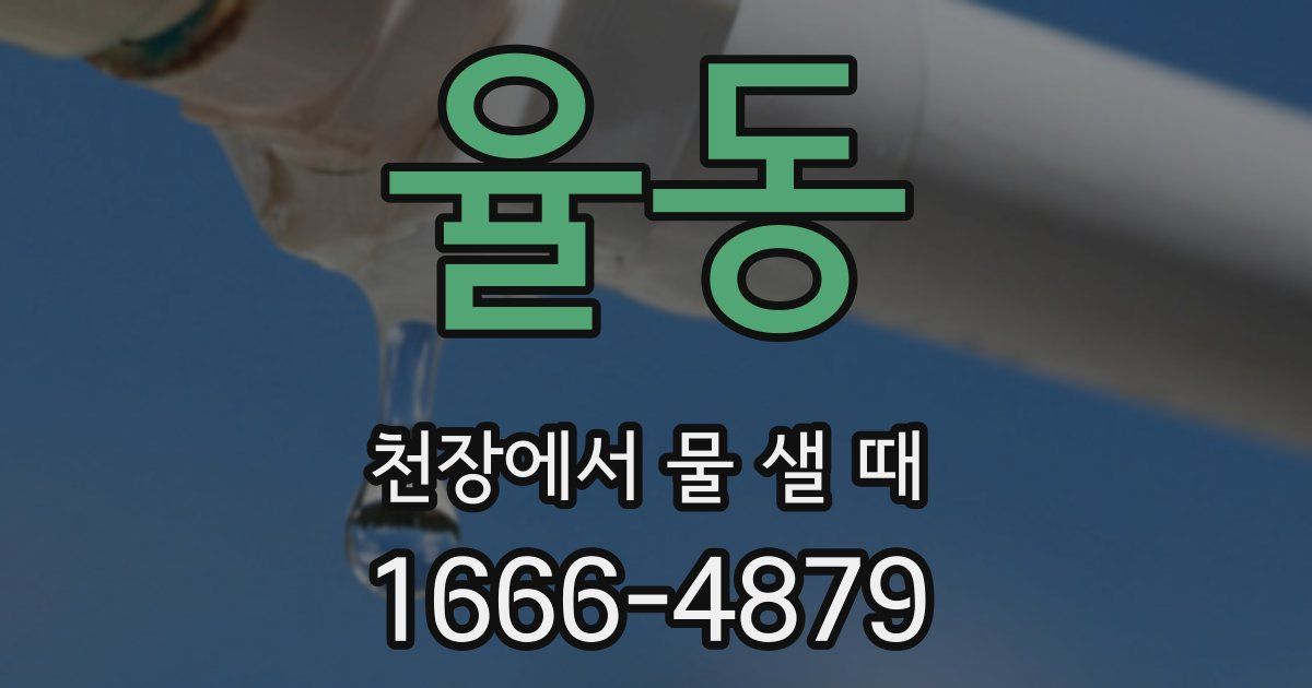 율동 천장에서 물 샐 때