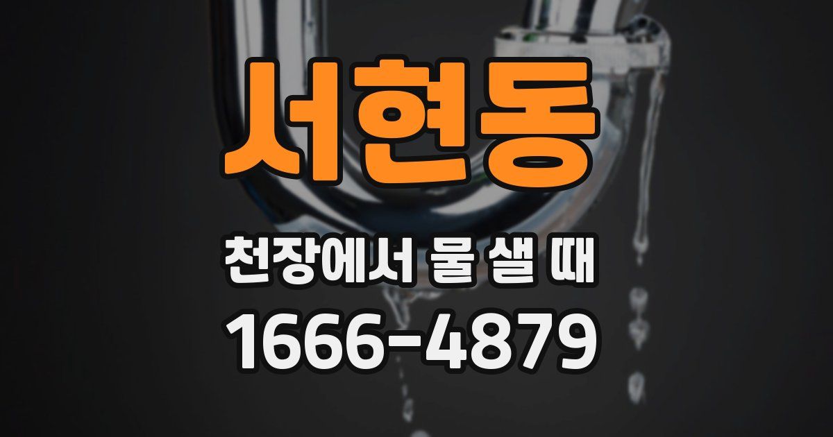 서현동 천장에서 물 샐 때