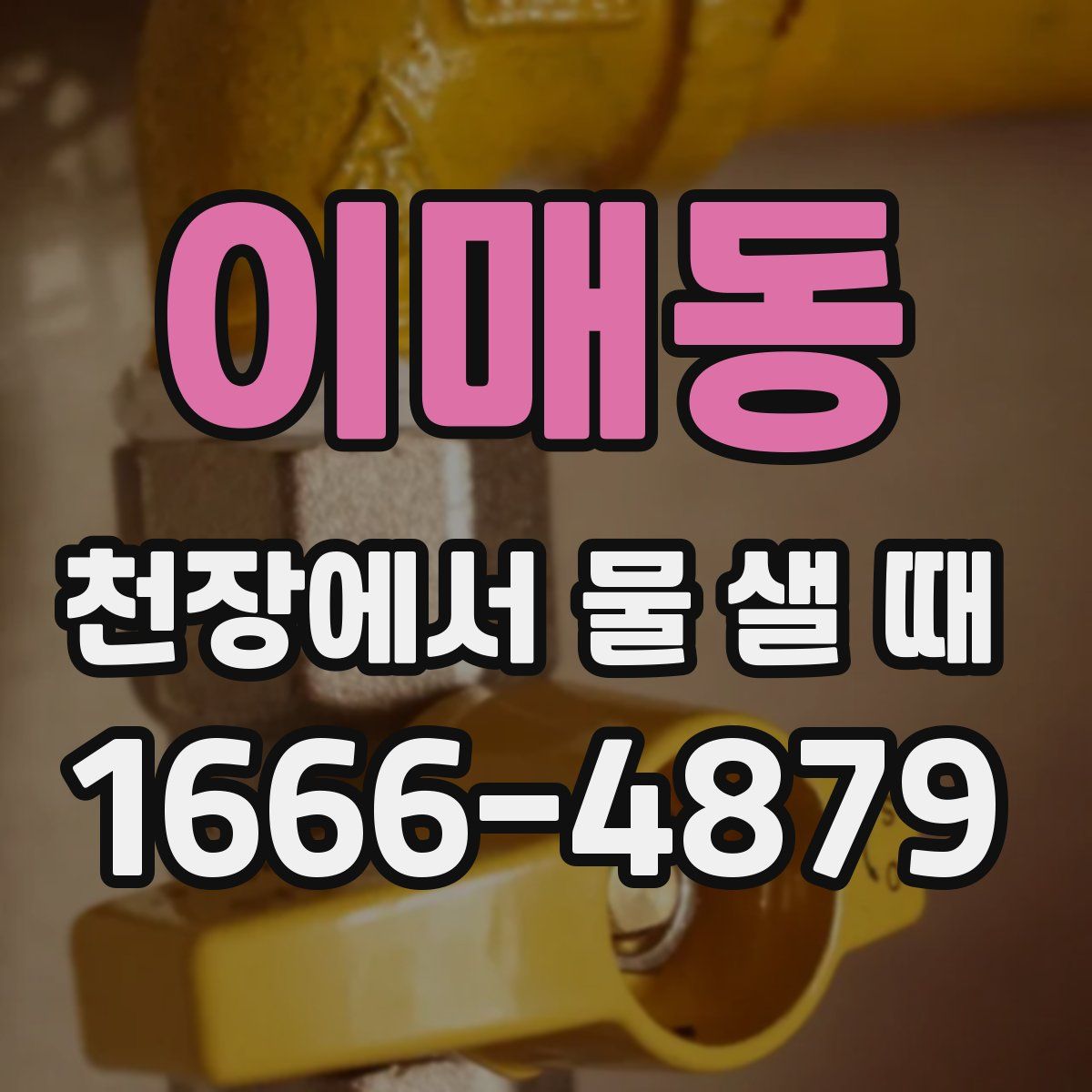 이매동 천장에서 물 샐 때