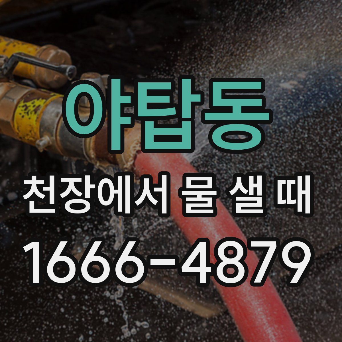 야탑동 천장에서 물 샐 때
