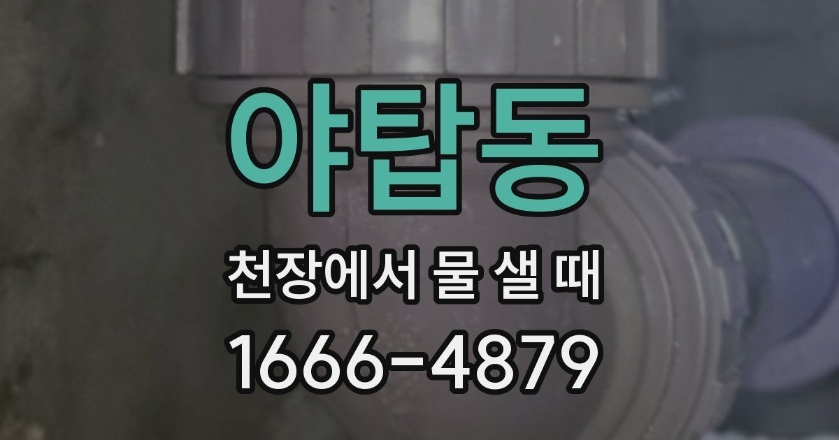야탑동 천장에서 물 샐 때