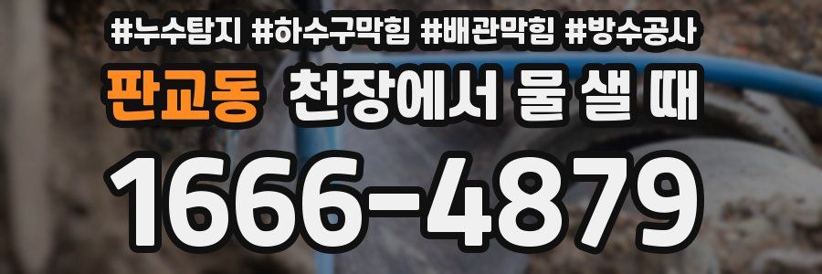 판교동 천장에서 물 샐 때