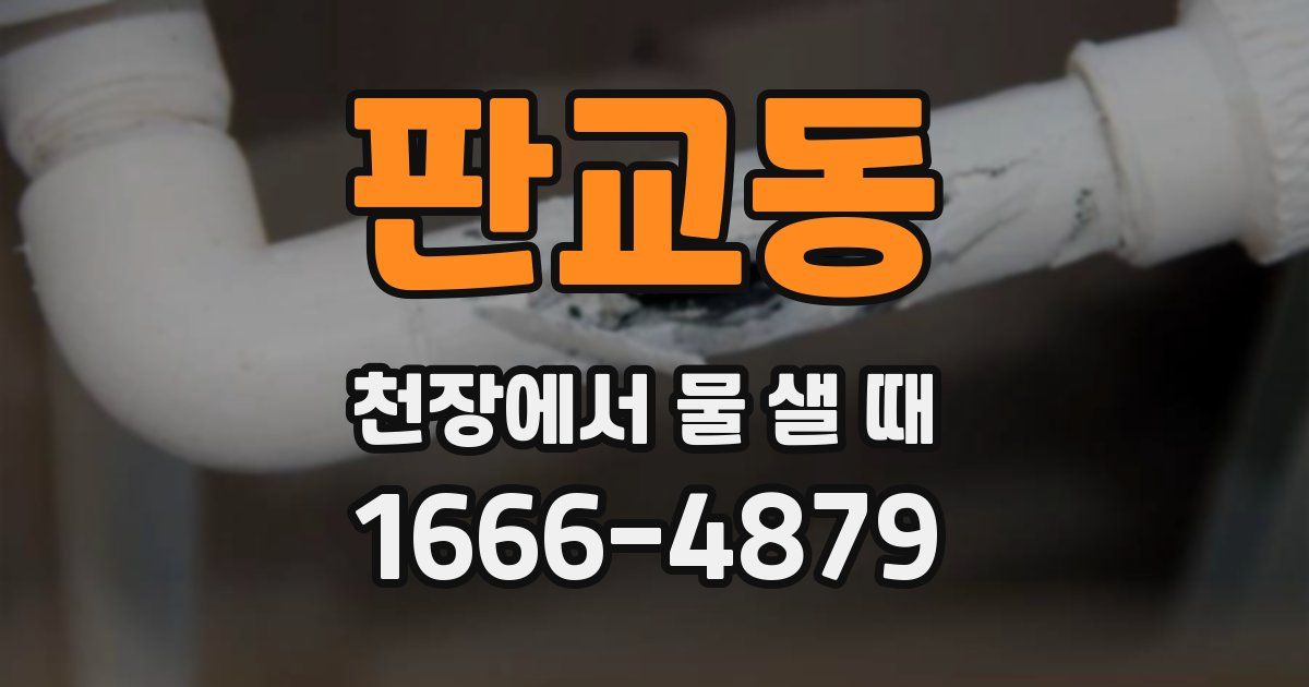 판교동 천장에서 물 샐 때