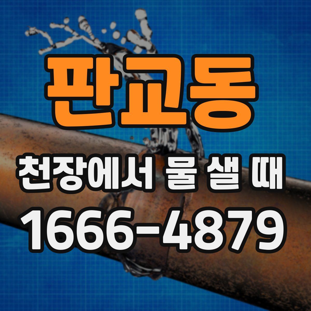 판교동 천장에서 물 샐 때