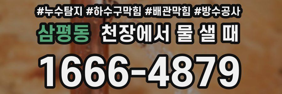 삼평동 천장에서 물 샐 때
