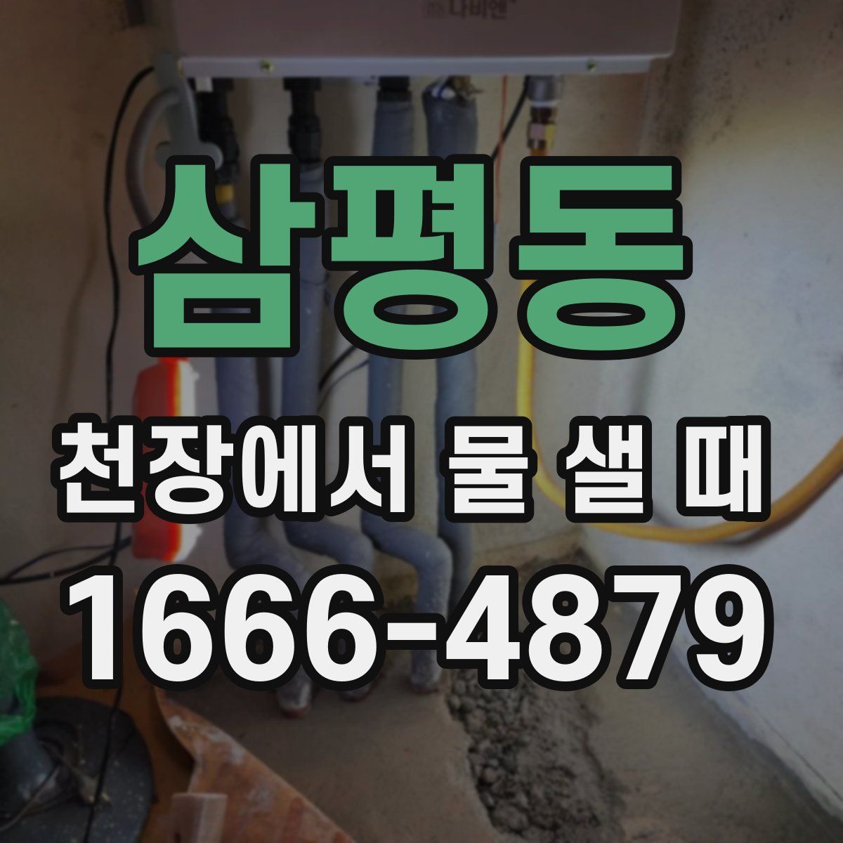 삼평동 천장에서 물 샐 때