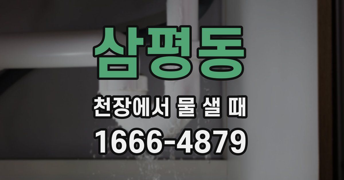 삼평동 천장에서 물 샐 때