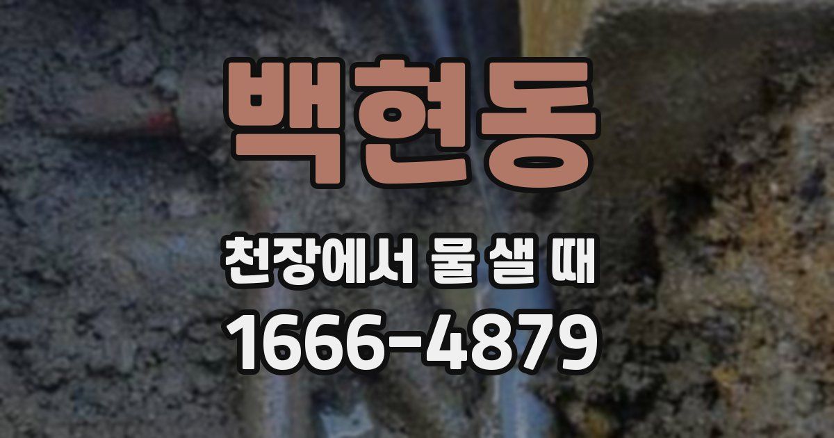 백현동 천장에서 물 샐 때