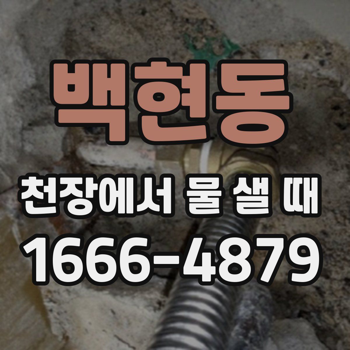 백현동 천장에서 물 샐 때