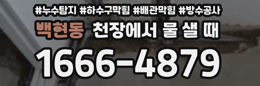 백현동 천장에서 물 샐 때